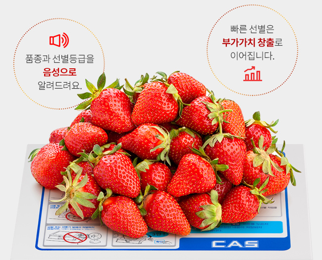 a893486ee25cea9a2a3e481efa54c4aa_1618055066_3652.jpg