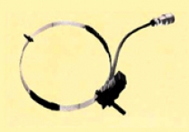 38359e105aa4dc5ea9e8f6f1e611af5e_1624071896_2372.jpg