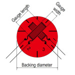 TOKYO SOKKI FCAB  TEE ROSETTE GAGE
