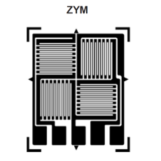 ZEMIC ZYM FULL BRIDGE GAGE