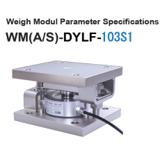WM(A/S)-DYLF-103S1 Weighing Module